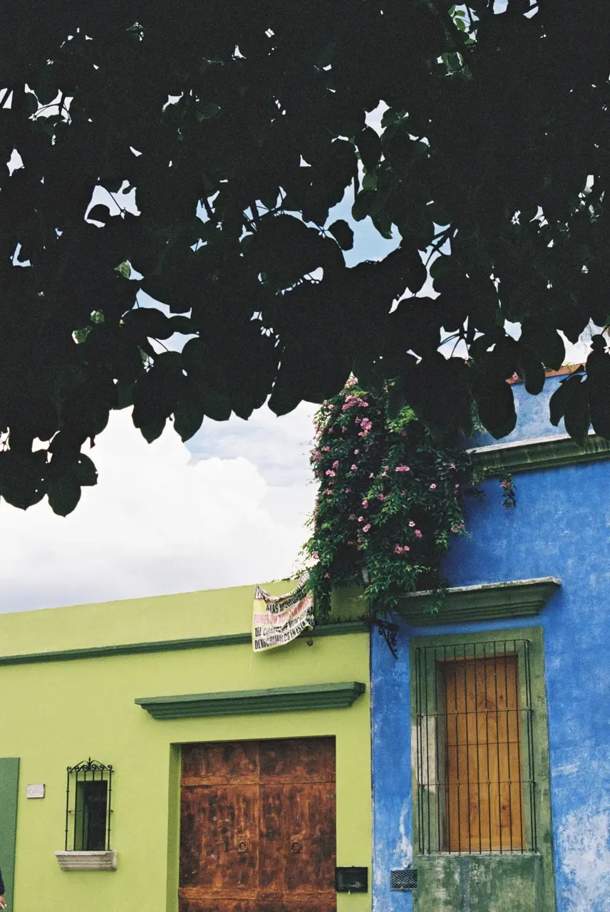 oaxaca buildings